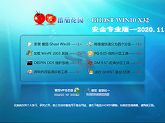 番茄花园 GHOST WIN10 32位安全专业版 V2020.11